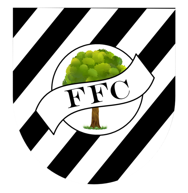 Old Figueirense Football Shirts