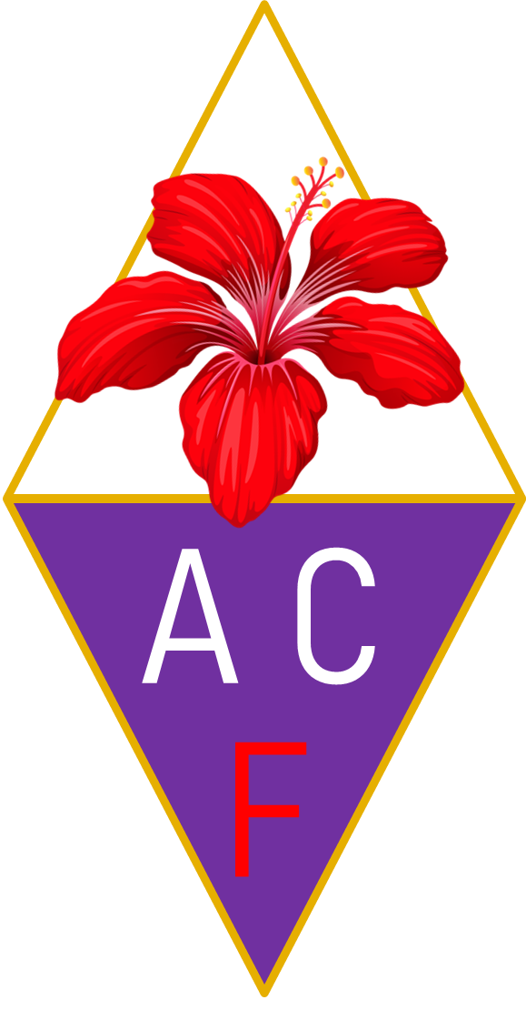 Old Fiorentina Football Shirts