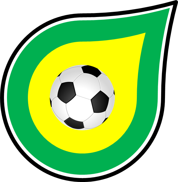 Old Fortuna Sittard Football Shirts