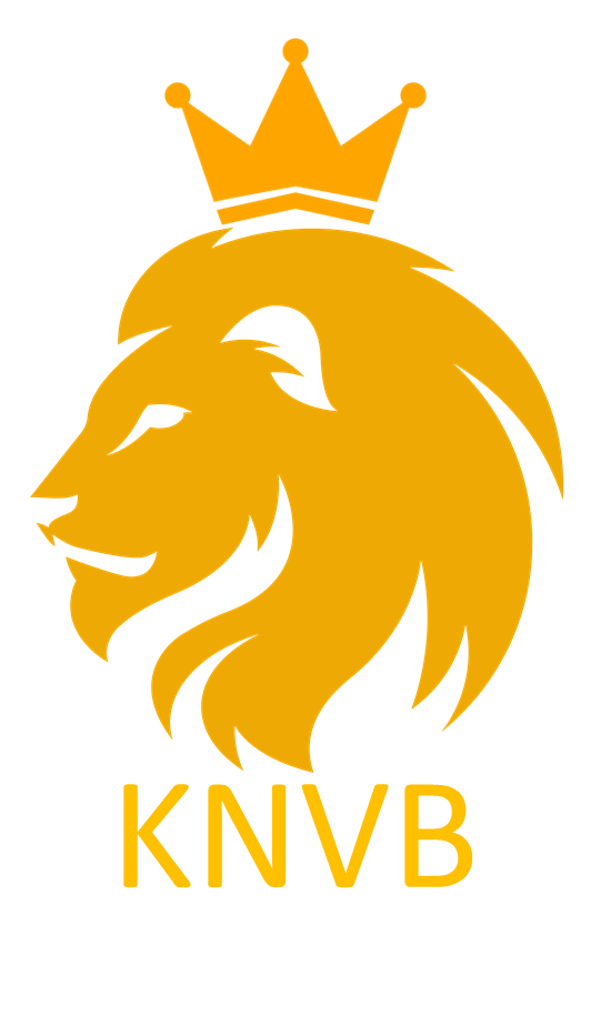 Old Netherlands Football Shirts