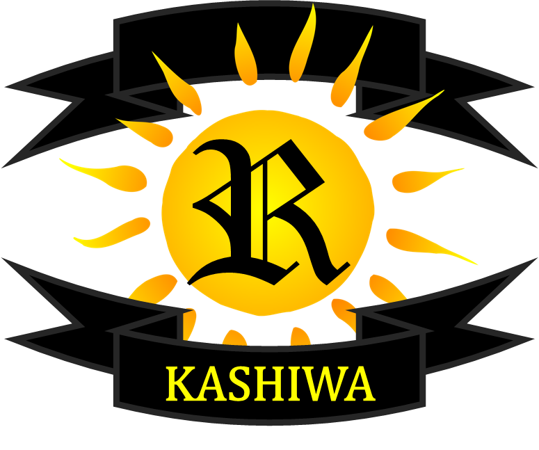 Old Kashiwa Reysol Football Shirts