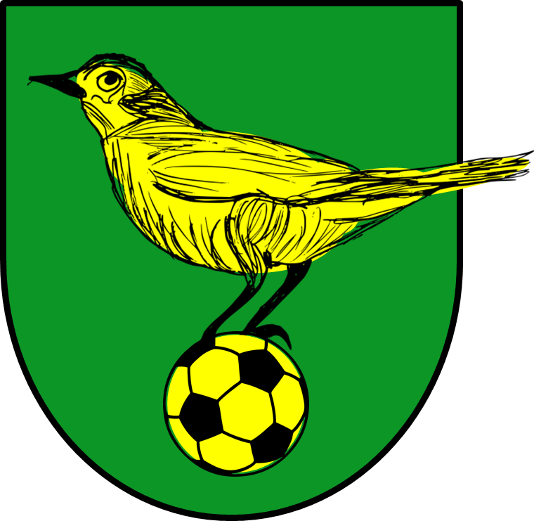 Old Norwich City Football Shirts