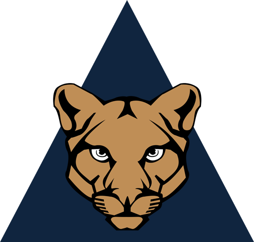 Old UNAM Pumas Football Shirts