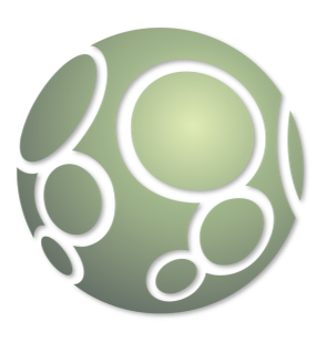 Old Ligue 1 Football Shirts