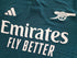 2023/24 Arsenal 3rd Champions League Authentic Football Shirt Rice #41 (L)