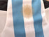 2022 Argentina Home Football Shirt Messi #10 (M) *BNWT*