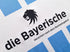 2021/22 1860 Munich Home Football Shirt (3XL)