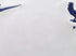 2020/21 France Away Football Shirt (S)