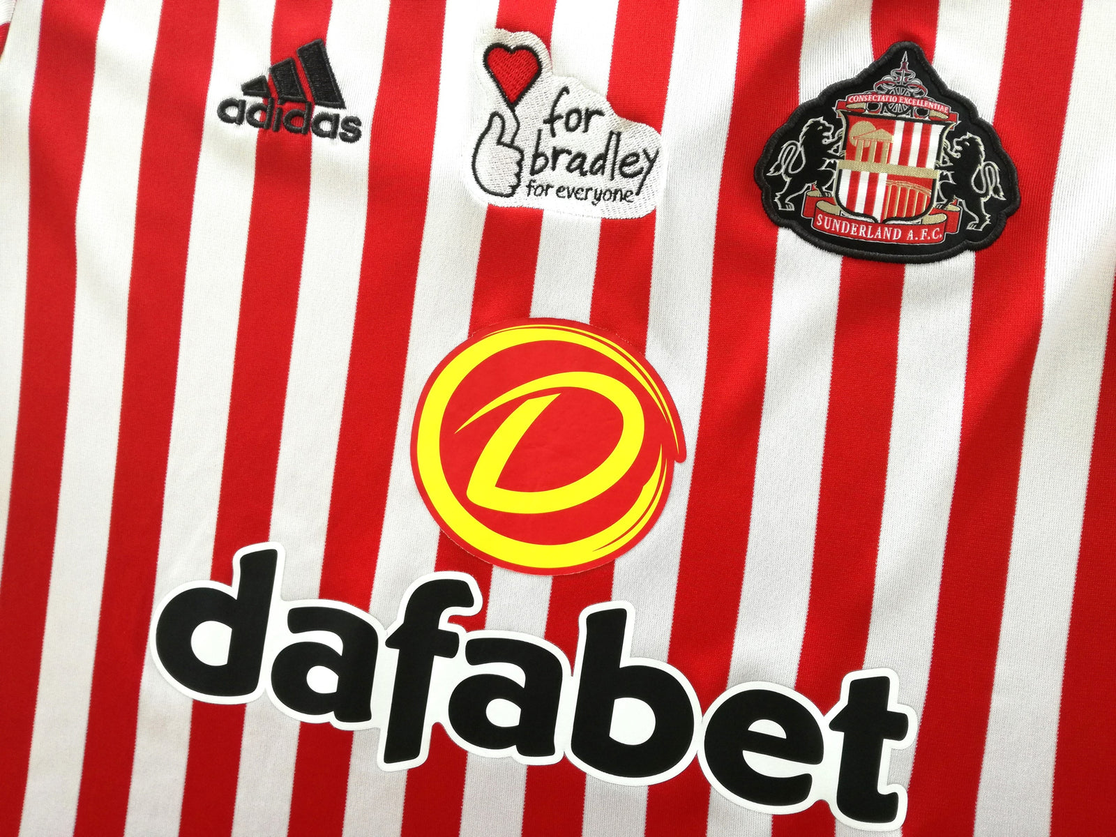 2017/18 Sunderland Home 'Bradley Lowery' Football Shirt (L)