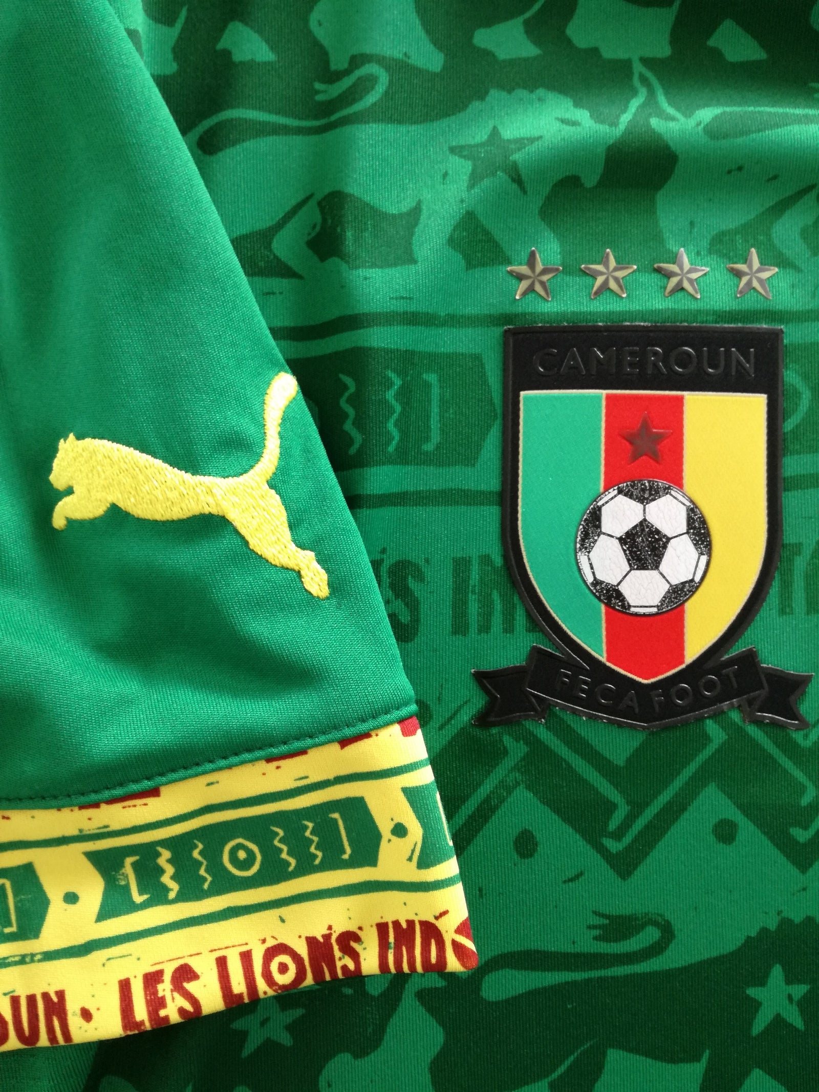 2014/15 Cameroon Home Football Shirt (L)