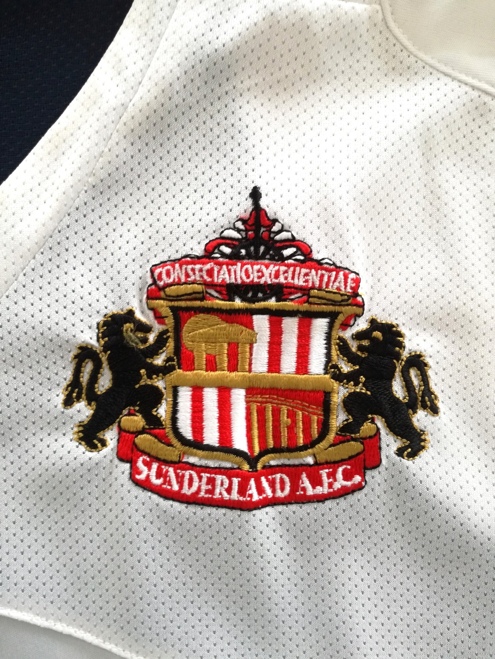 2009/10 Sunderland Training Shirt (L)