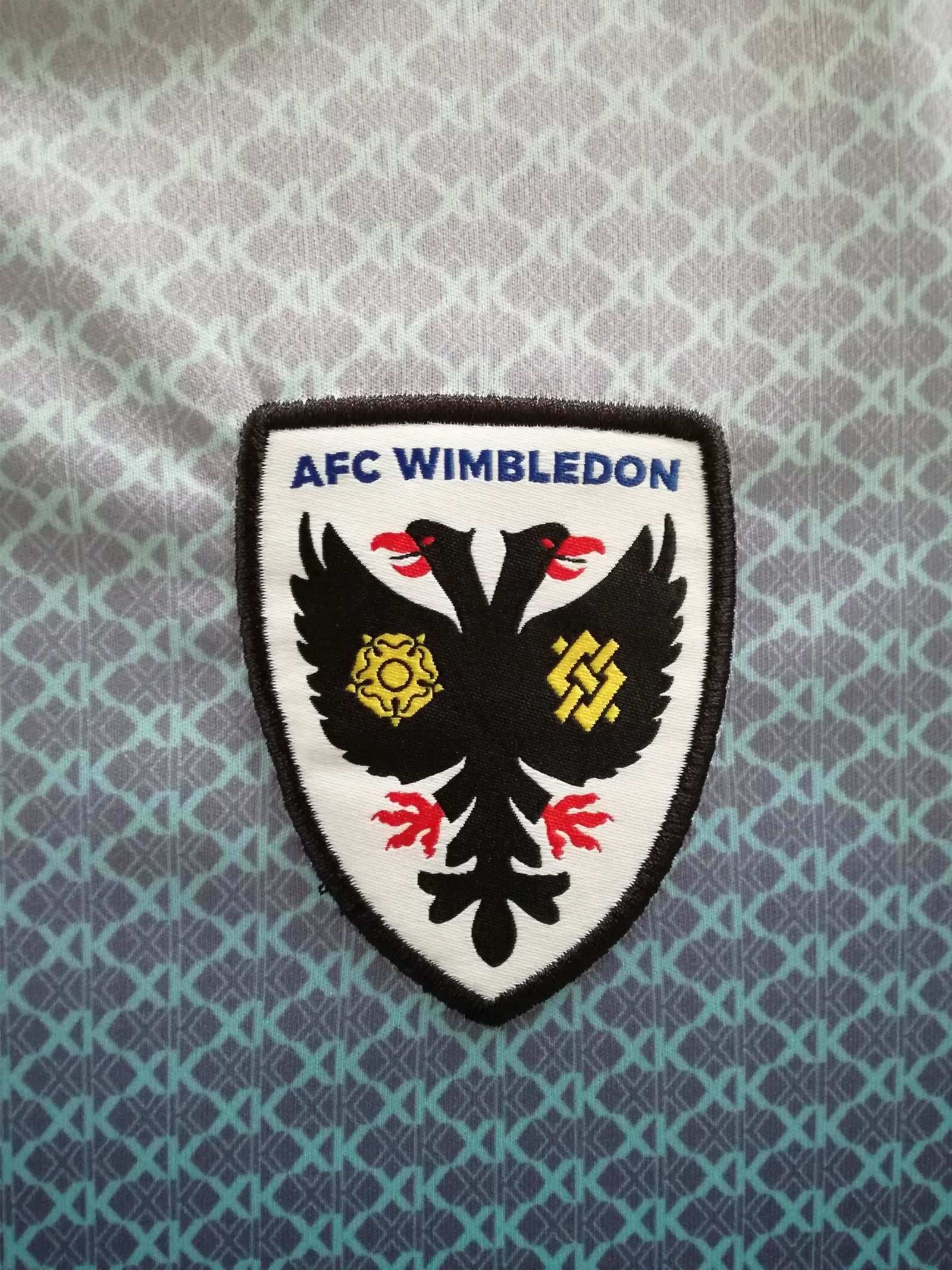 2022/23 AFC Wimbledon Training Shirt (M)