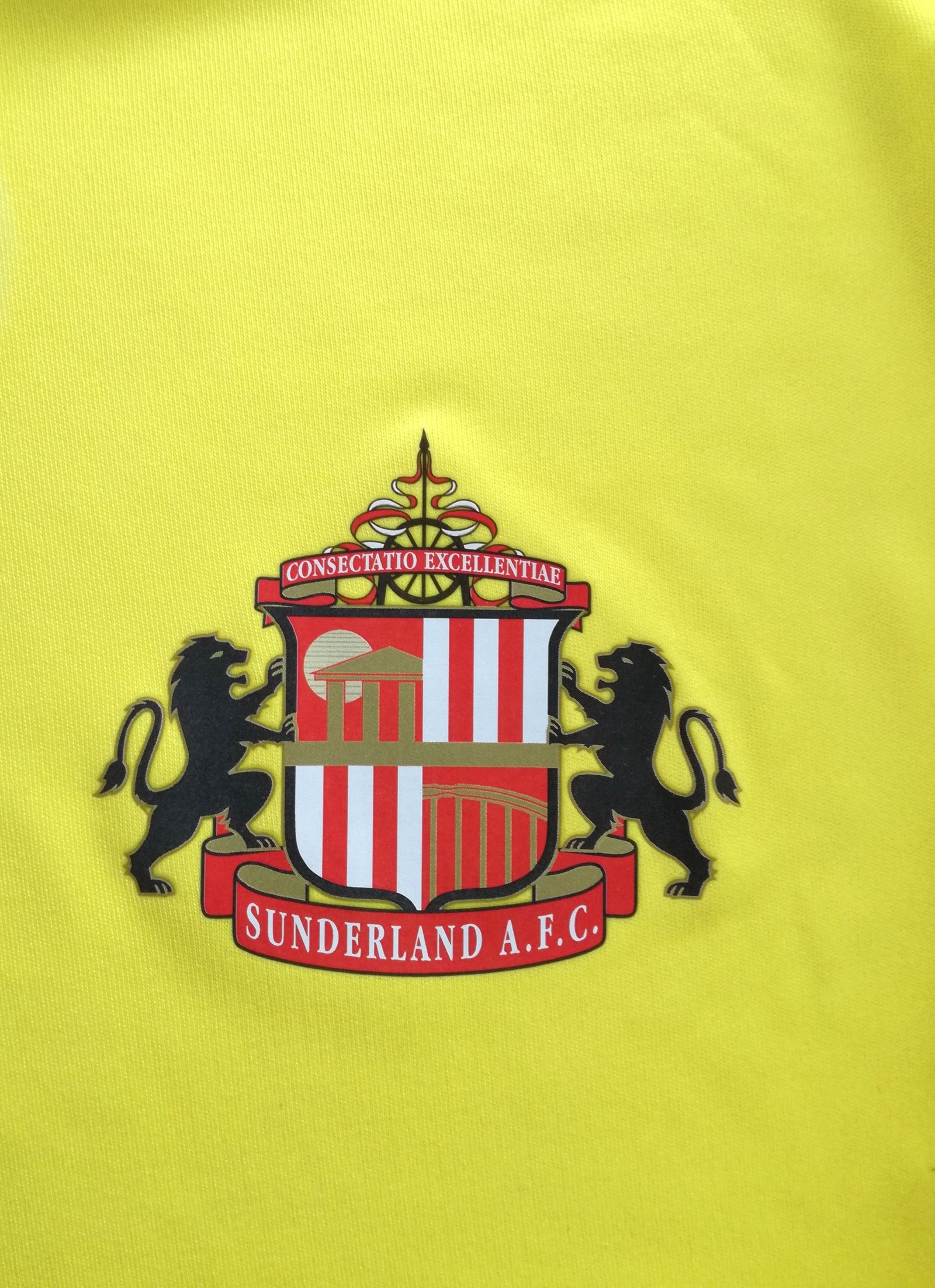 2017 Sunderland Training Shirt. (S)