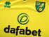 2019/20 Norwich City Home Football Shirt (7XL)