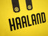 2019/20 Borussia Dortmund Home Football Shirt Haaland #17 (S)
