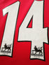 2006/07 Arsenal Home Premier League Football Shirt Hnery #14 (L)