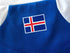2018/19 Iceland Home Football Shirt (M)