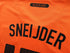 2010/11 Netherlands Home Football Shirt Sneijder #10 (M)