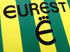 1993/94 FC Nantes Home Football Shirt (L)