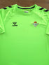 2024/25 Real Betis Training Shirt