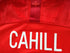 2018/19 England Away Football Shirt Cahill #6 (Youth)