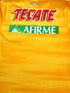 2019/20 Tigres UANL Home Football Shirt (L)