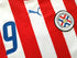 2006/07 Paraguay Home Football Shirt Santa Cruz #9 (L)