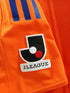 2008 Albirex Niigata Home Formotion Football Shirt (L) *BNWT*