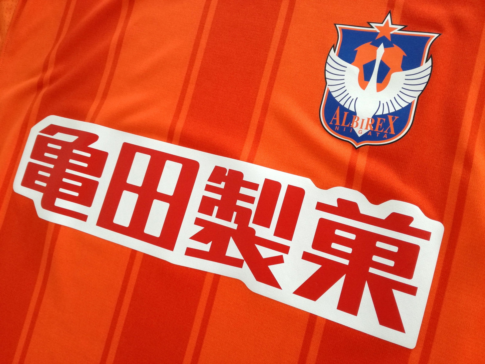 2008 Albirex Niigata Home Formotion Football Shirt (L) *BNWT*