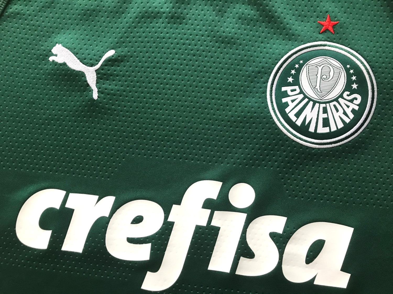 2019 Palmeiras Home Football Shirt (M)